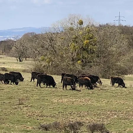 Holiday home Viktoria